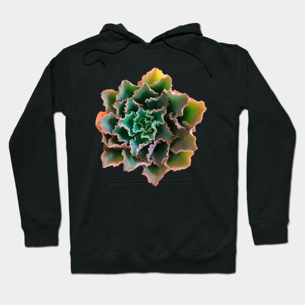 Suculenta Echeveria Dorothy Hoodie by NerdsbyLeo